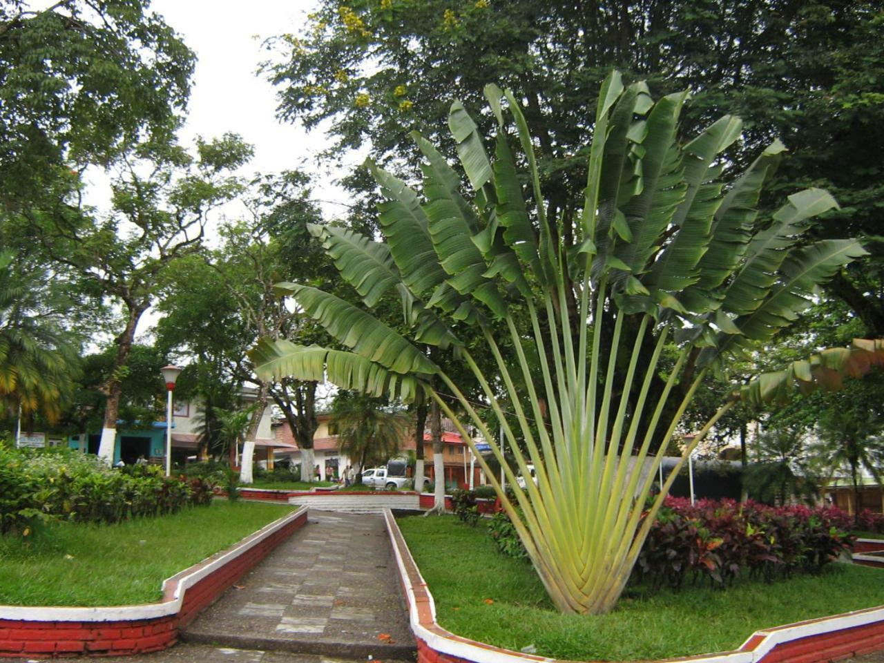 Hotel Casa Trujillo Norcasia Bagian luar foto